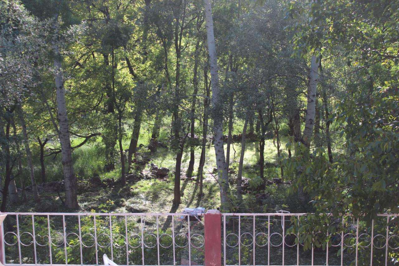 Auberge Toubkal Amsouzart Aitst Idar Tizgui 外观 照片
