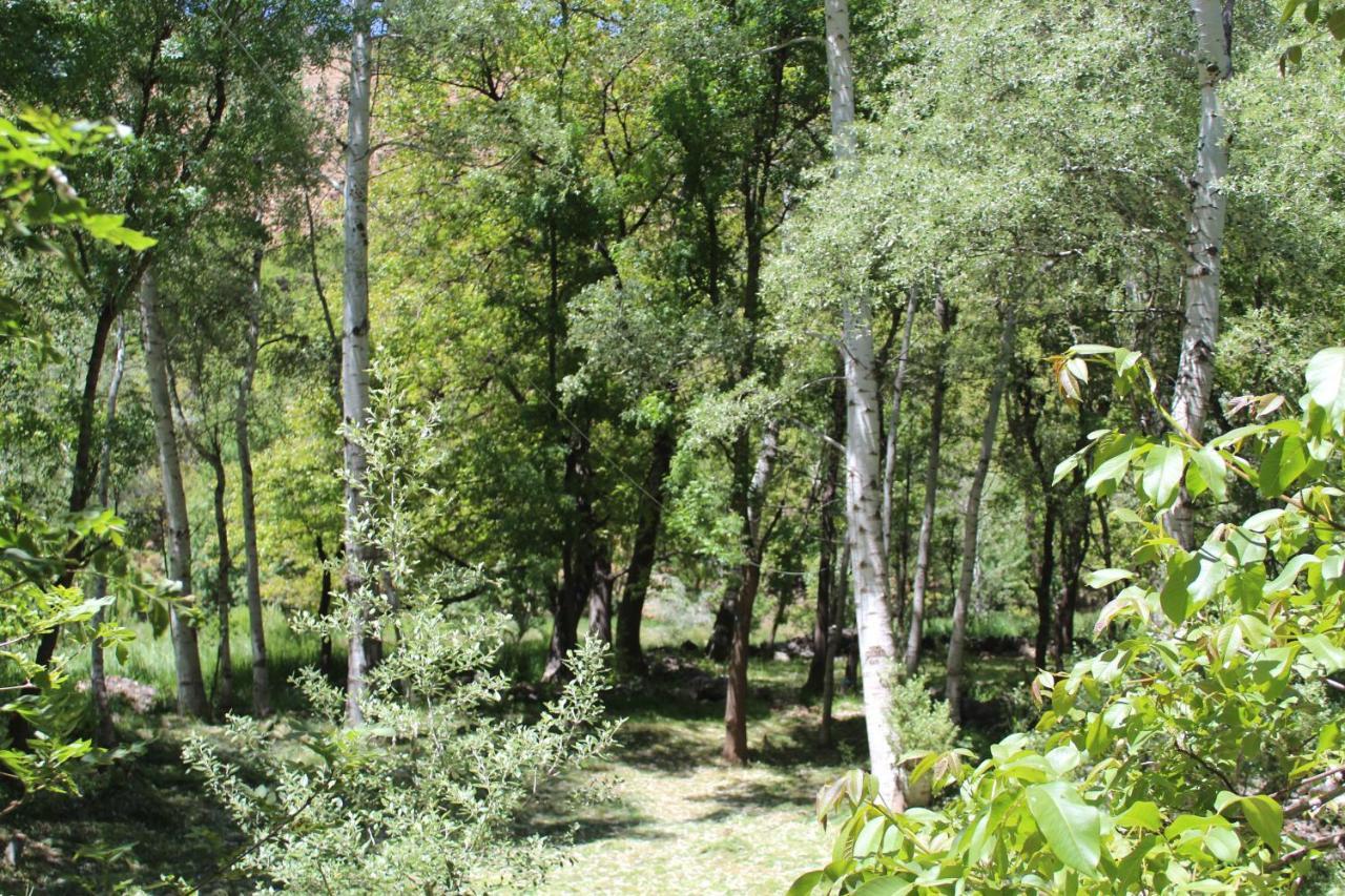 Auberge Toubkal Amsouzart Aitst Idar Tizgui 外观 照片